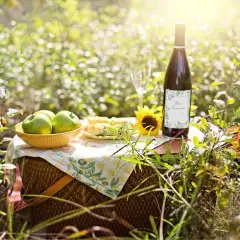Słoneczny piknik z zielonymi jabłkami, serem i butelką domowego wina z jabłek.