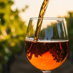 Ile wina z 10 kg winogron? Zaskakujące wyniki i porady dla winiarzy