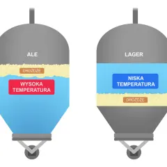 Dwa zbiorniki fermentacyjne: jeden dla piw typu Ale (wysoka temperatura, drożdże na górze), drugi dla Lager (niska temperatura, drożdże na dole).