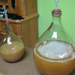 Dwa balony z płynem i rurkami fermentacyjnymi, jeden z pianą.