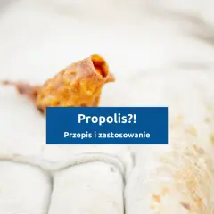 Fragment propolisu na rękawicy pszczelarza. Dowiedz się, jak zrobić nalewkę z propolisu i jakie ma zastosowanie.