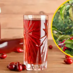 Szklanka i butelki z nalewką z derenia. Obok świeże owoce i gałązka derenia. Idealny przepis na nalewkę z derenia.
