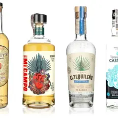 Różnorodne butelki tequili, w tym te z agawy, prezentują bogactwo smaków i stylów tego meksykańskiego trunku.