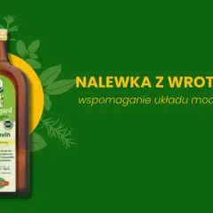 Nalewka z wrotyczu "Prostavin" Hildegard von Bingen, wspomaganie układu moczowego. Zielone tło z ziołowymi motywami.