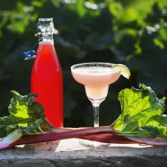 Orzeźwiająca nalewka z rabarbaru w butelce i kieliszku, ozdobiona świeżymi łodygami rabarbaru i plasterkiem limonki.