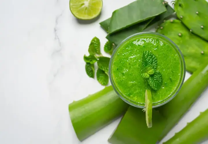 Zielony koktajl z aloesu, limonki i mięty otoczony liśćmi aloesu i kaktusa.