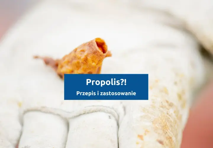 Fragment propolisu na rękawicy pszczelarza. Dowiedz się, jak zrobić nalewkę z propolisu i jakie ma zastosowanie.