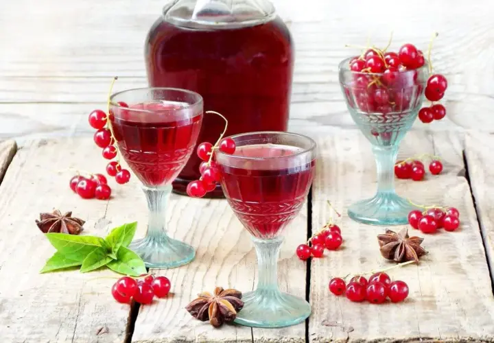 Dwa kieliszki wypełnione rubinowym płynem, ozdobione gałązkami czerwonej porzeczki. Obok butelka nalewki z czerwonej porzeczki, gwiazdki anyżu i listki mięty.