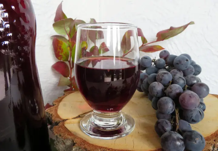 Domowy przepis na wino z winogron 10l. Kieliszek czerwonego wina, butelka, kiść ciemnych winogron i gałązka z liśćmi.