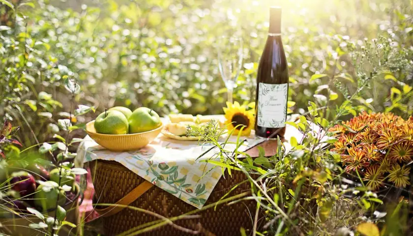 Słoneczny piknik z zielonymi jabłkami, serem i butelką domowego wina z jabłek.