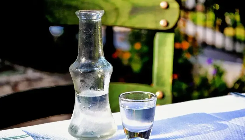 Szklana butelka i kieliszek z przezroczystym alkoholem na białym obrusie, w tle zielone krzesło i rośliny.