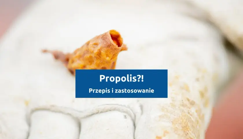 Fragment propolisu na rękawicy pszczelarza. Dowiedz się, jak zrobić nalewkę z propolisu i jakie ma zastosowanie.
