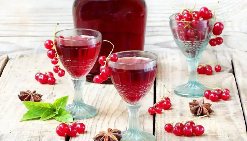 Dwa kieliszki wypełnione rubinowym płynem, ozdobione gałązkami czerwonej porzeczki. Obok butelka nalewki z czerwonej porzeczki, gwiazdki anyżu i listki mięty.