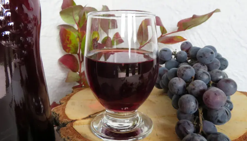 Domowy przepis na wino z winogron 10l. Kieliszek czerwonego wina, butelka, kiść ciemnych winogron i gałązka z liśćmi.