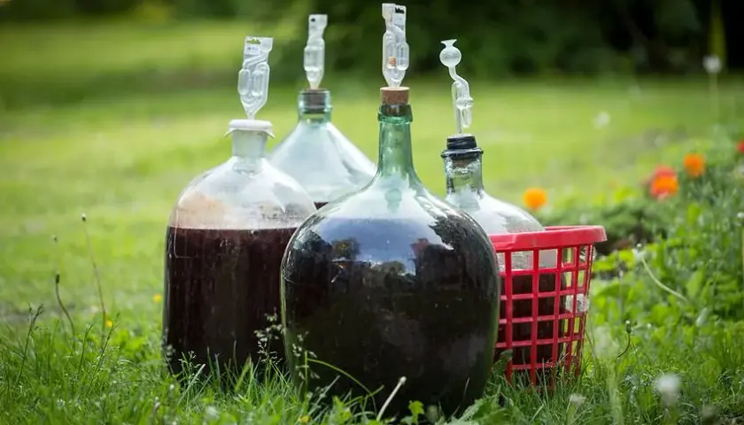Ile kosztuje butelka wina domowego? Sprawdź ceny i opcje zakupowe