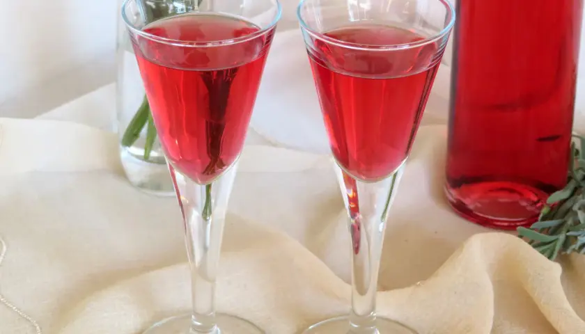 Dwa kieliszki wypełnione rubinową nalewką z agrestu, obok butelka i gałązka ziół.