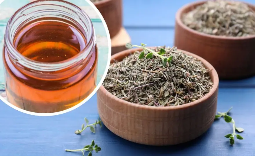 Syrop z tymianku - przepis, dawkowanie i kiedy faktycznie pomaga?