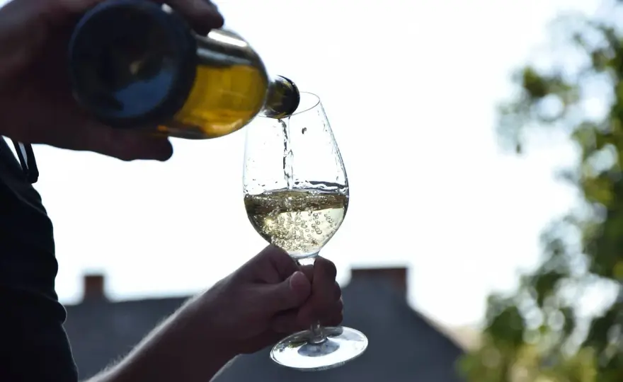 Alkohol etylowy - Jak legalnie i bezpiecznie robić domowe trunki?