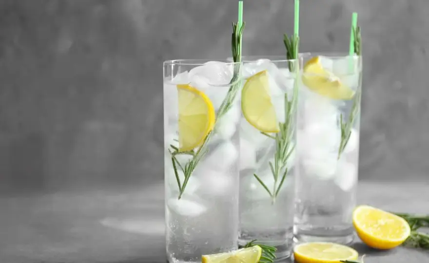 Gin Fizz - zrób idealny koktajl w domu!