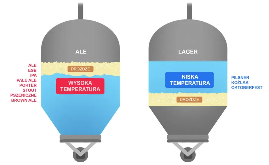 Fermentacja alkoholu - nastaw, zacier, błędy i prawo