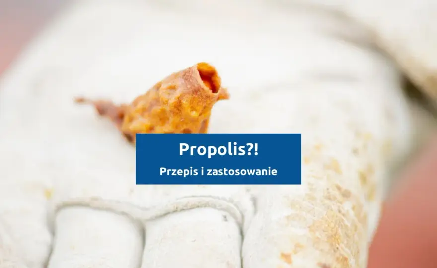 Nalewka z propolisu - Jak przygotować ją poprawnie i bez błędów?