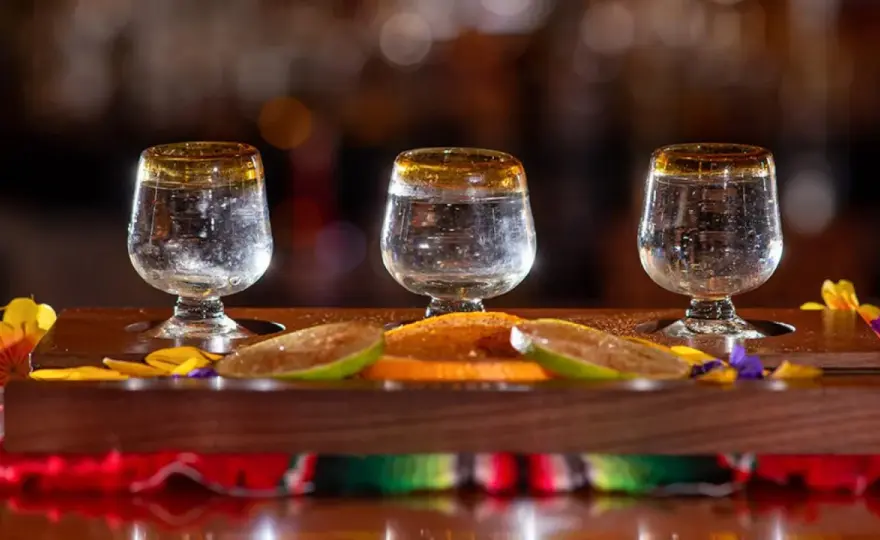 Mezcal - przewodnik: dymny czy nie? Jak wybrać i pić?