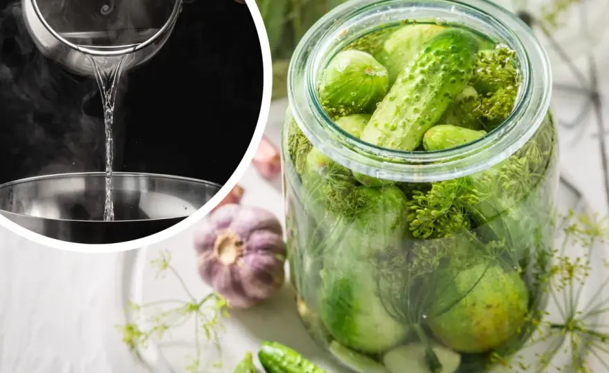 Woda z ogórków kiszonych w drinkach - Jak dawkować i z czym łączyć?
