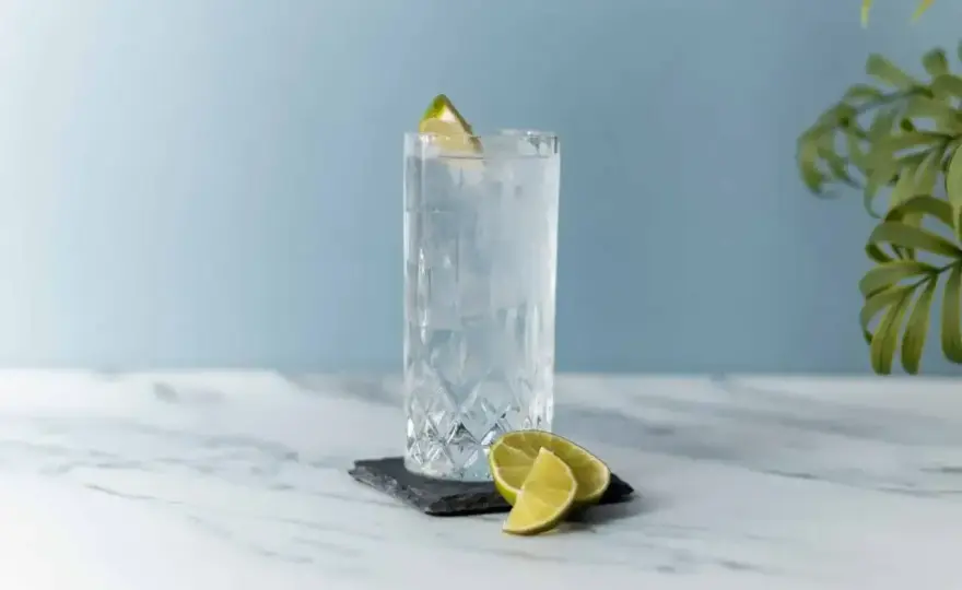 Gin z tonikiem - Jakie proporcje? Zrób idealny drink!