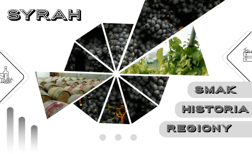 Shiraz (Syrah) - przewodnik. Jak wybrać i z czym łączyć?