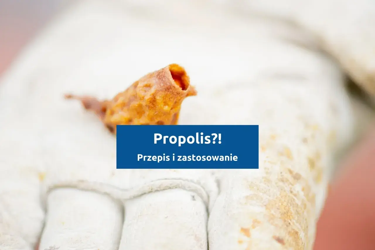Fragment propolisu na rękawicy pszczelarza. Dowiedz się, jak zrobić nalewkę z propolisu i jakie ma zastosowanie.