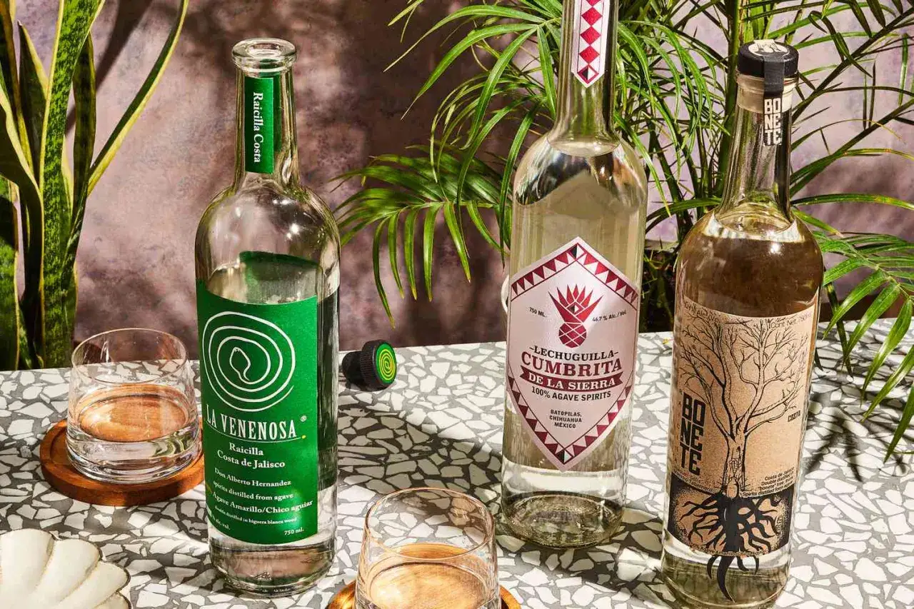 Trzy butelki meksykańskich alkoholi z agawy, w tym raicilla i lechuguilla, pokazują, z czego jest tequila i inne destylaty z agawy.